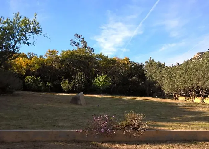 Emilietta * וילסימיוס