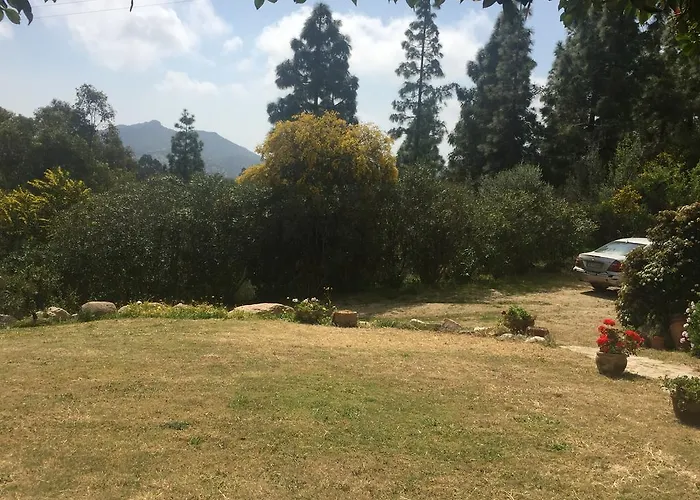 Emilietta 维拉西米乌斯